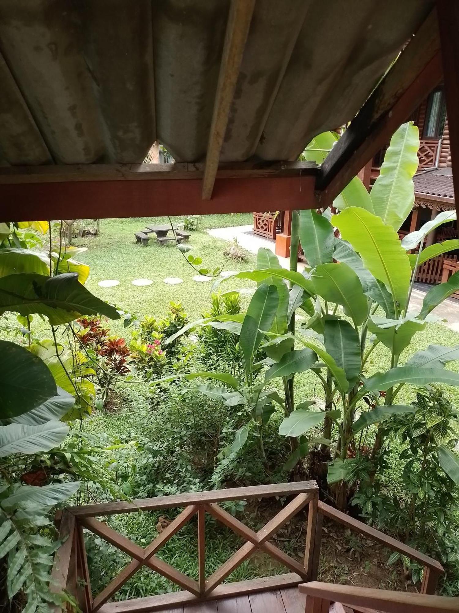Namsong Bridge Bungalows Vang Vieng Ngoại thất bức ảnh
